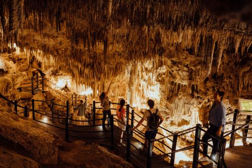 Stalactites hanging from roof of cave