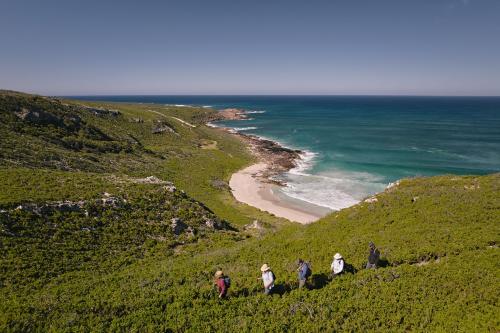 Group of hikers walking through coastal heath above Conto Cliffs along the Cape to Cape Track. 