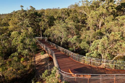 Wooden walkway leading into trees. 