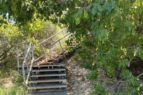 Staircase with rail on a trail surrounded by greenery. 
