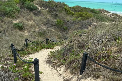 Sandy trail leading bwtween dunes to the beach. There are black posts with rope indicating the edge of the trail. 