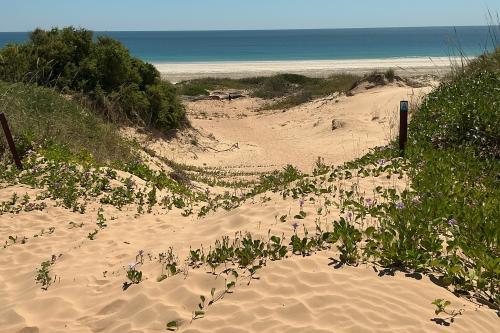 Sandy trail leading out to the beach. 