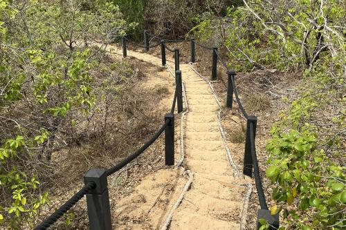 Sandy trail surrounded by green shrubs lined by black posts and ropes. 