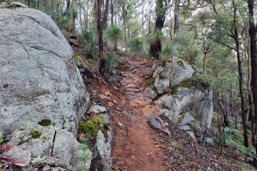 Wam Bam, Wambenger Trails, Wellington NP