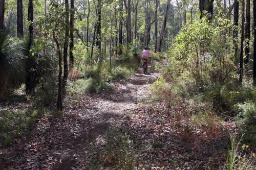 Grizzly Trail, Mt Lennard, Wellington NP
