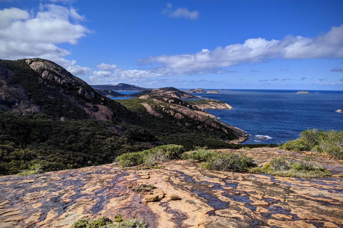 are dogs allowed in national parks in western australia