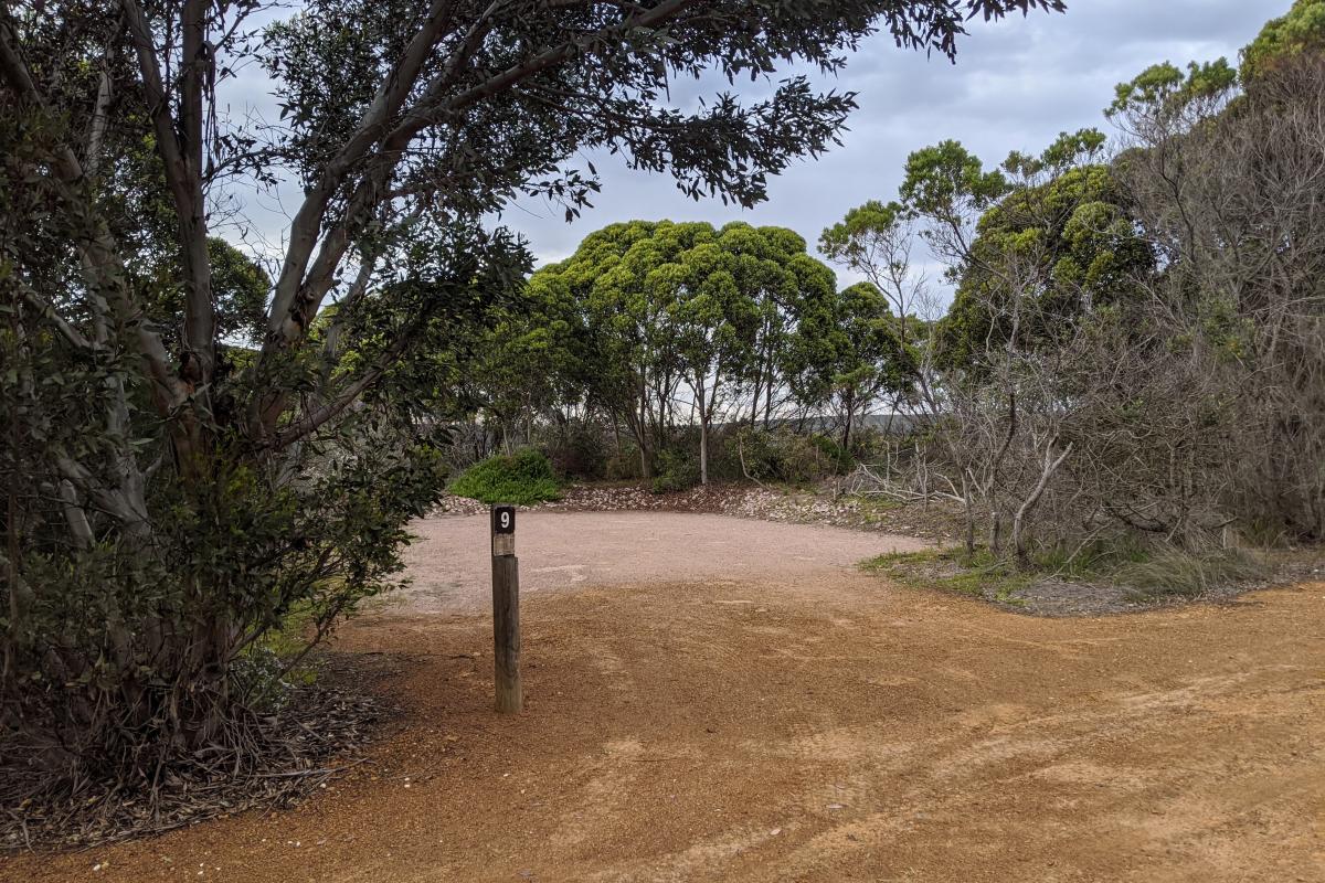Benwenerup campground Stokes National Park A campsite with a hard surface surrounded by bushes