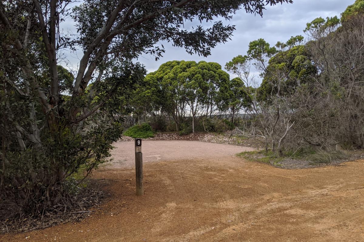 A campsite with a hard surface surrounded by bushes