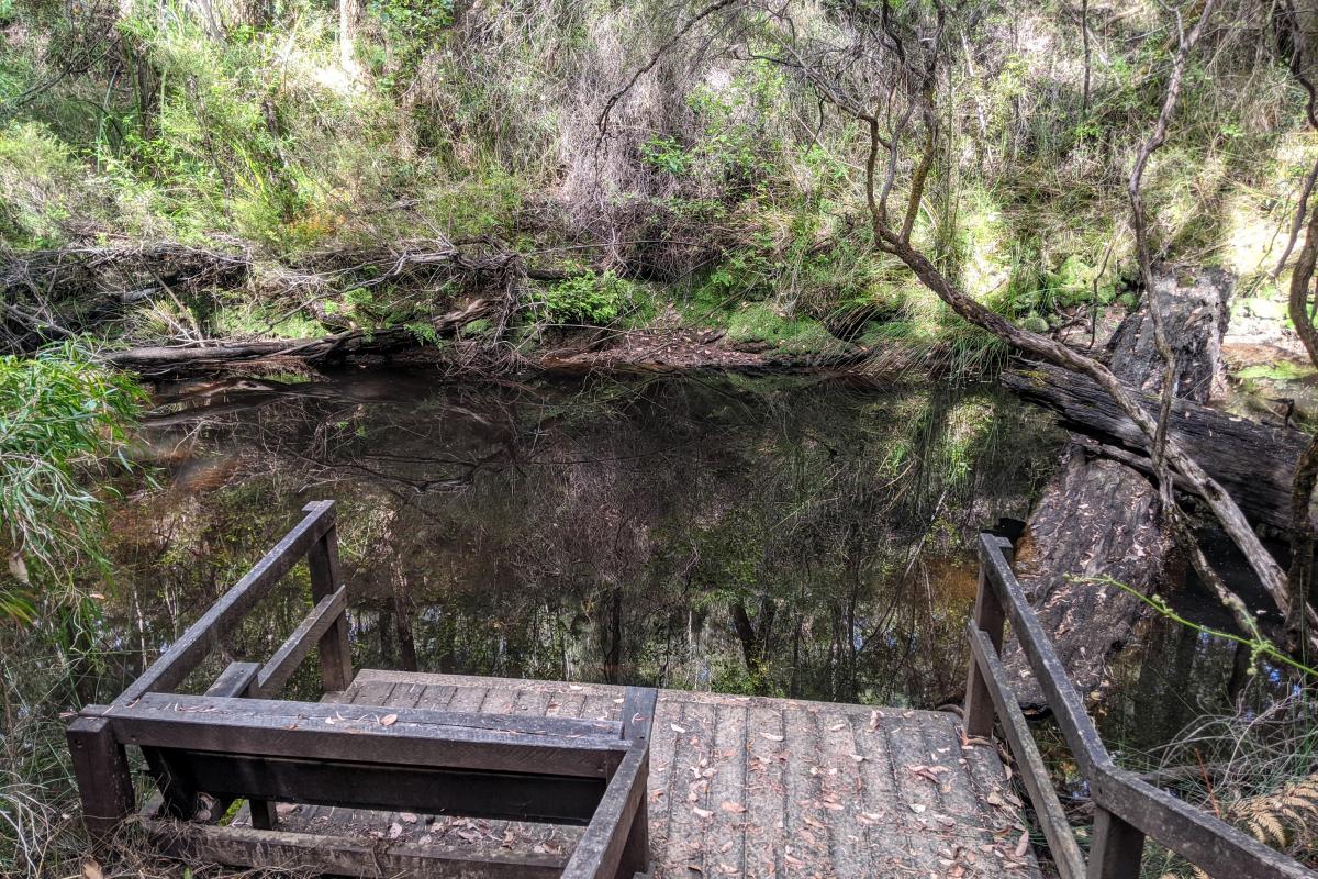 Wooden platform by the water at Carey Brook in summer