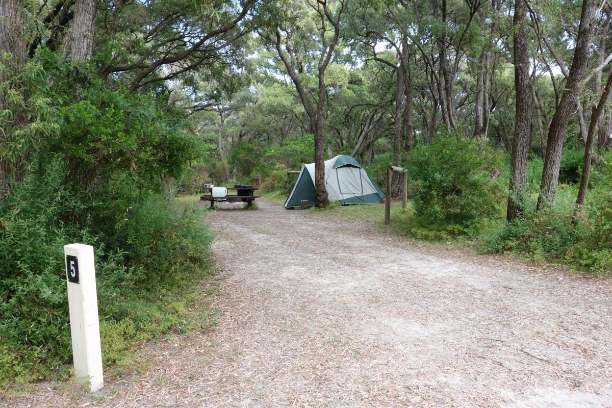a pitched tent beside picnic table under tall green trees