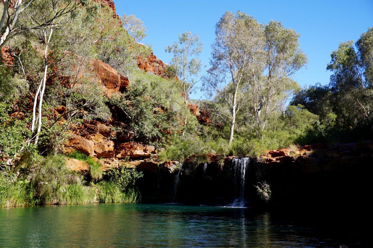 Clear cool water with small waterfall and trees growing on side of gorge wall