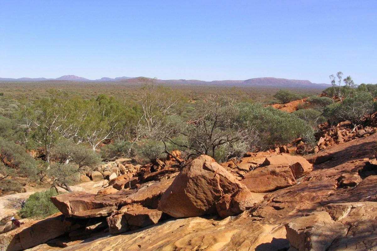 a large granite outcrop with a vast plain of native trees and mountains in the background