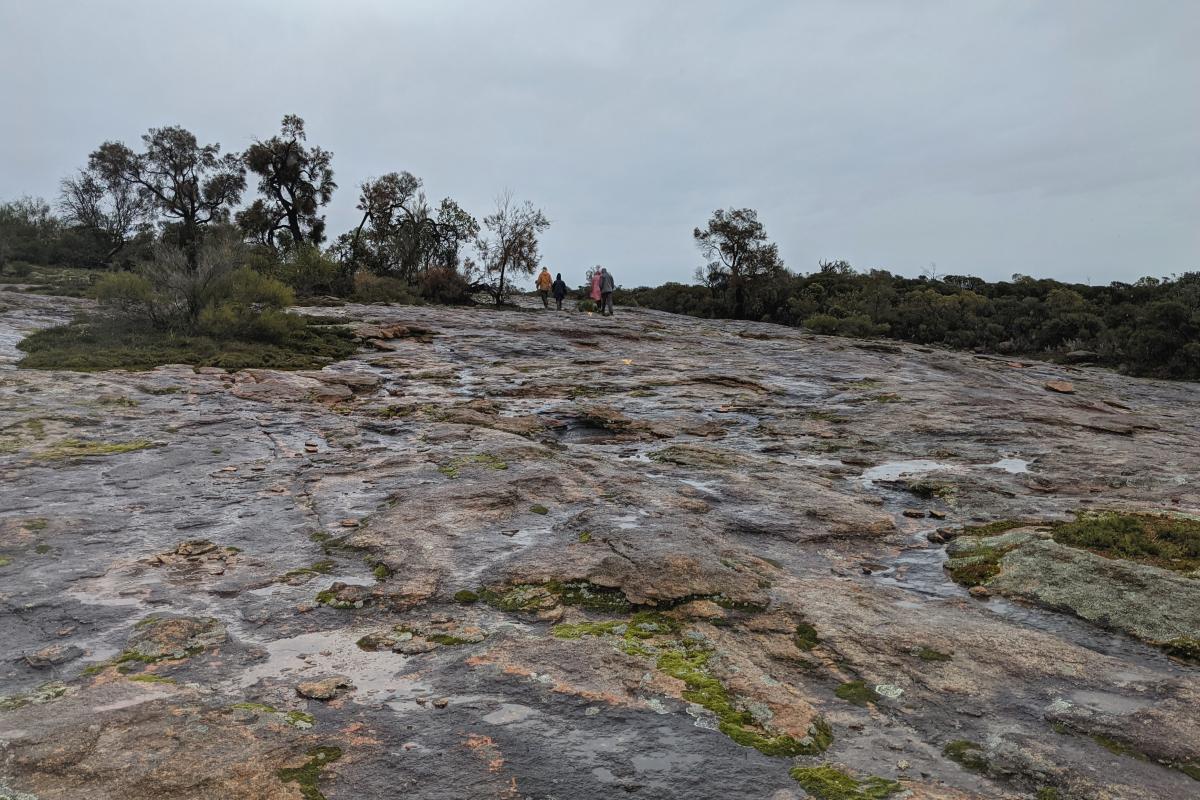 The granite outcrop at Gathercole Nature Reserve