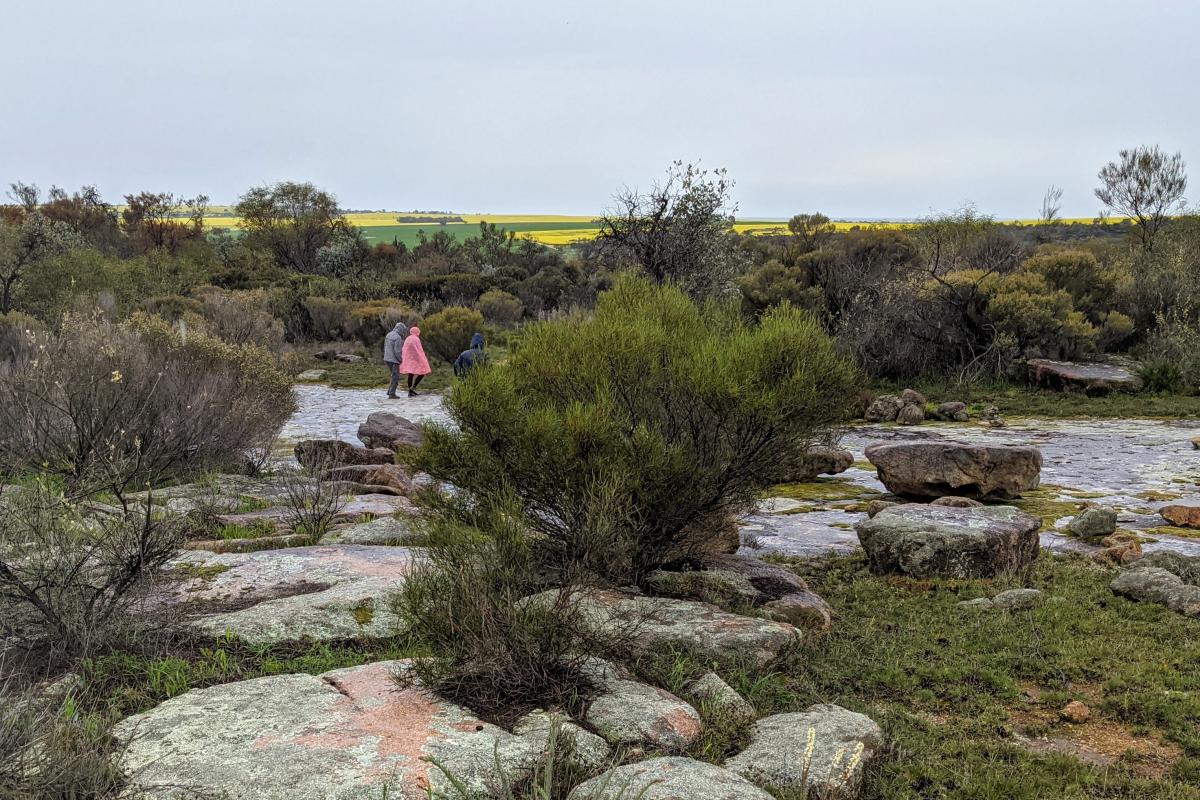 Walk trail across the granite outcrop at Gathercole Nature Reserve