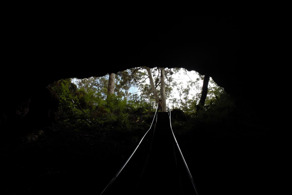 inside a dark cave with staircase leading up to the cave mouth