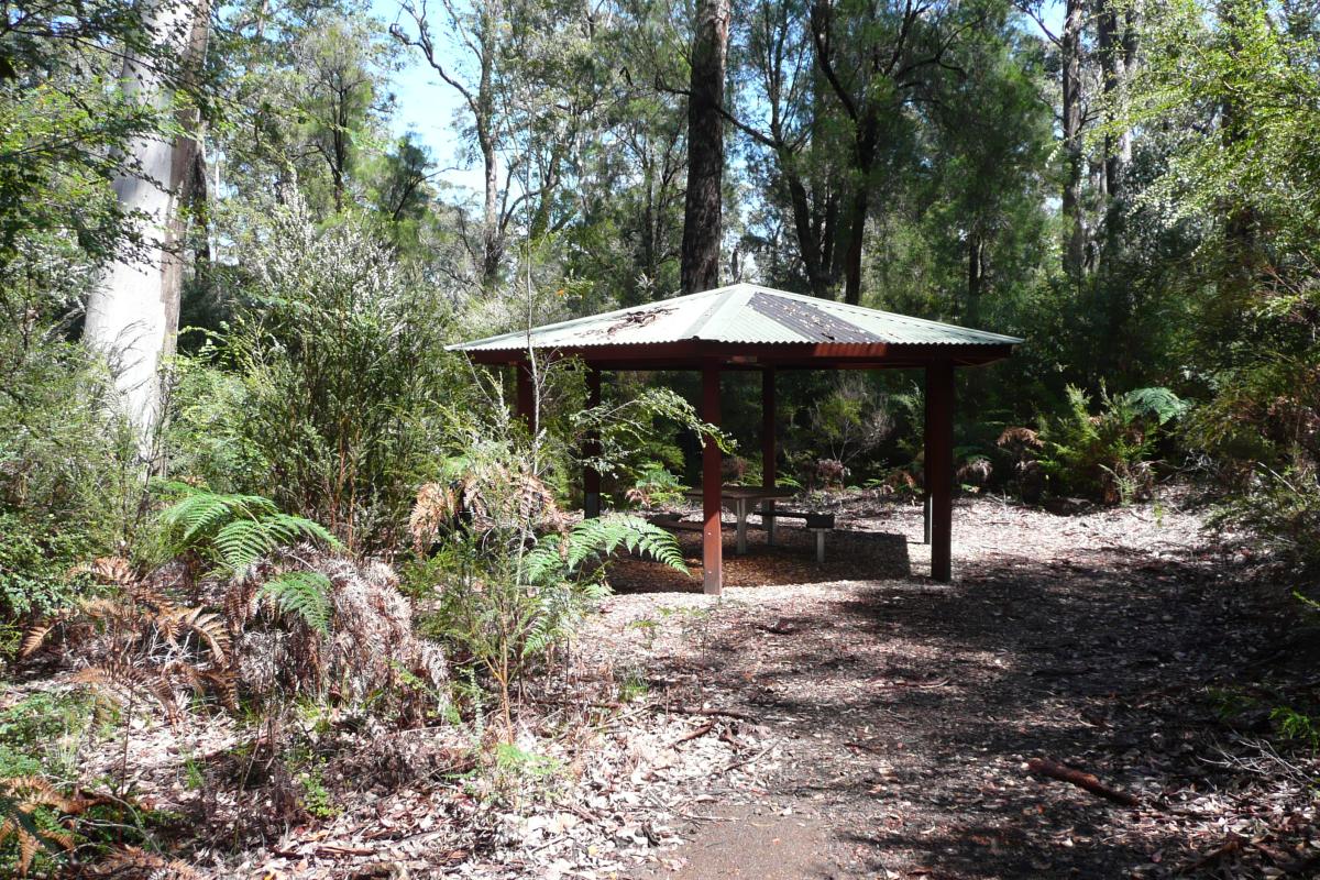 wooden shelter on dirt trail surrounded by tall trees