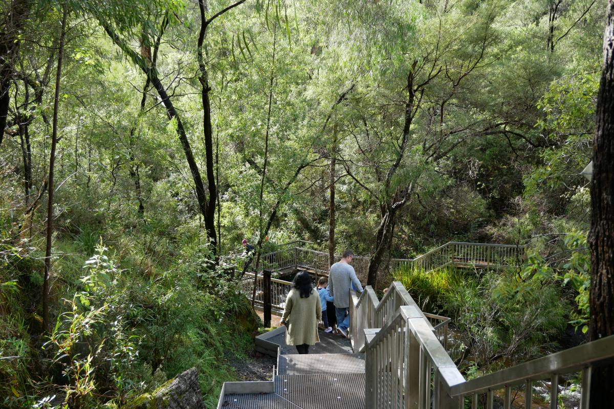 people walking on metal platform with stairs surrounded by green vegetation