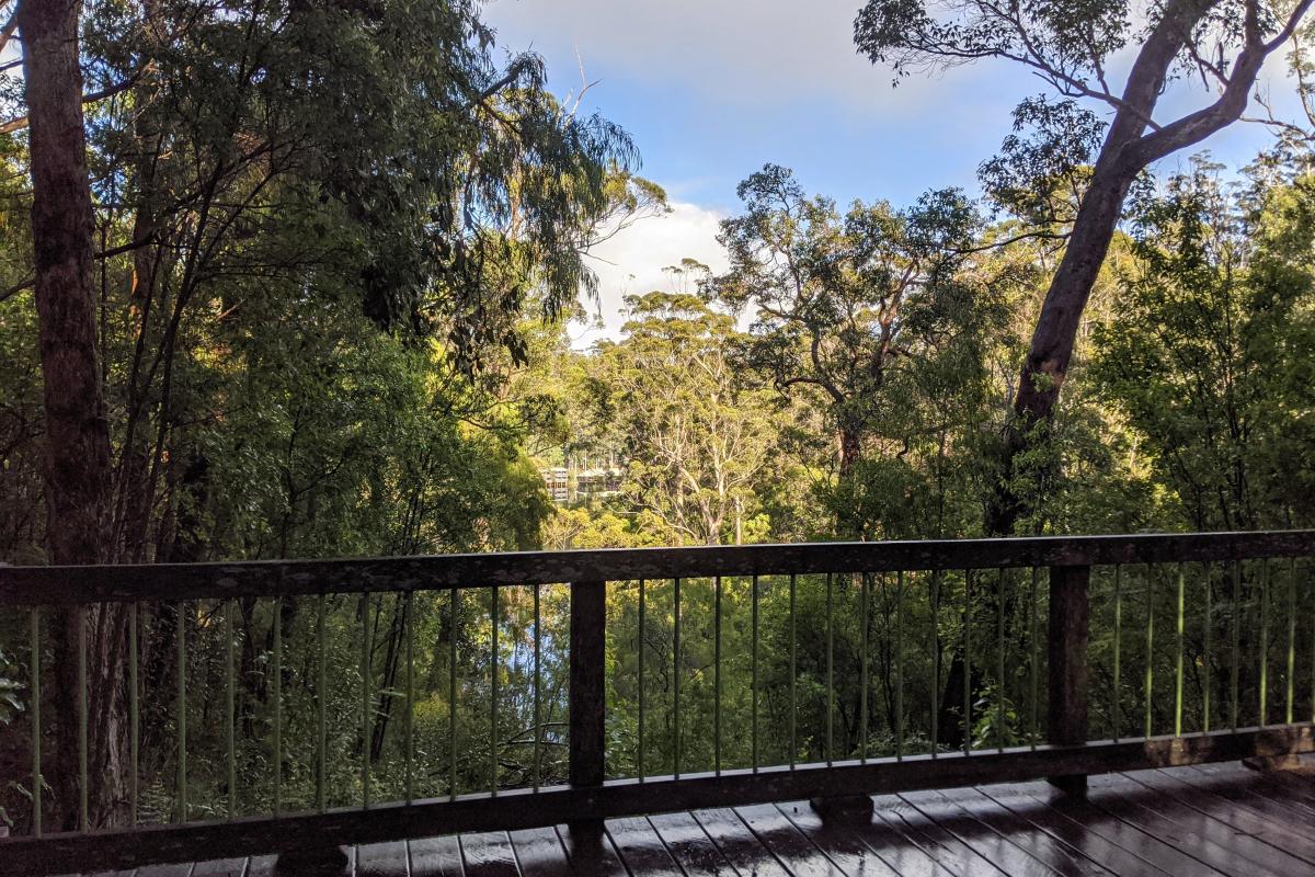 View of Karri Valley Resort from a lookout at Beedelup Falls