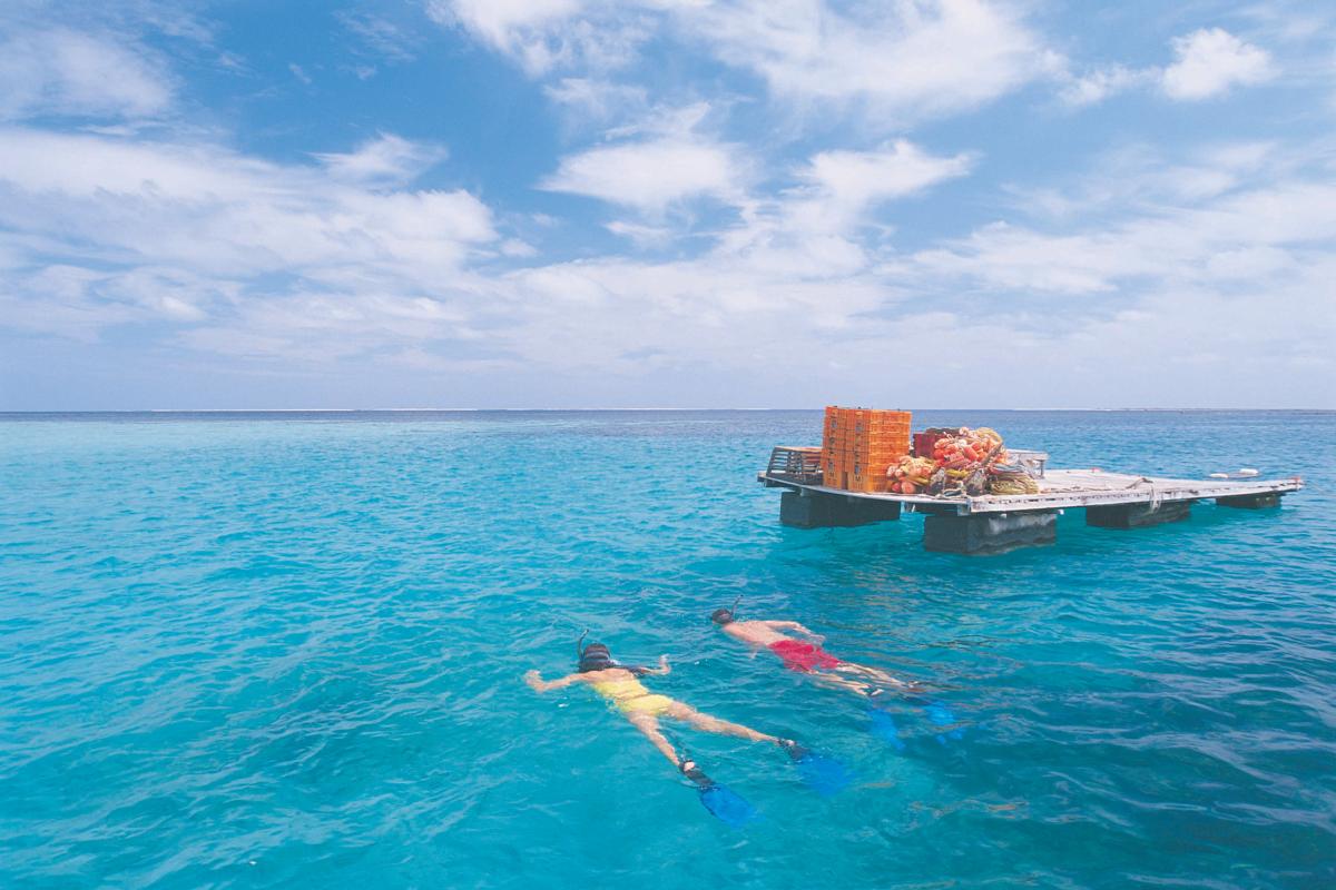 Houtman Abrolhos Islands National Park pontoon on blue water couple snorkelling
