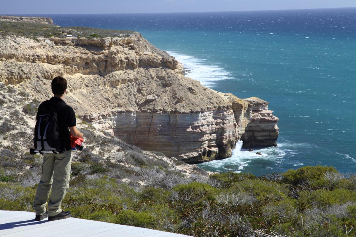 Visitor standing on platform overlooking island rock 