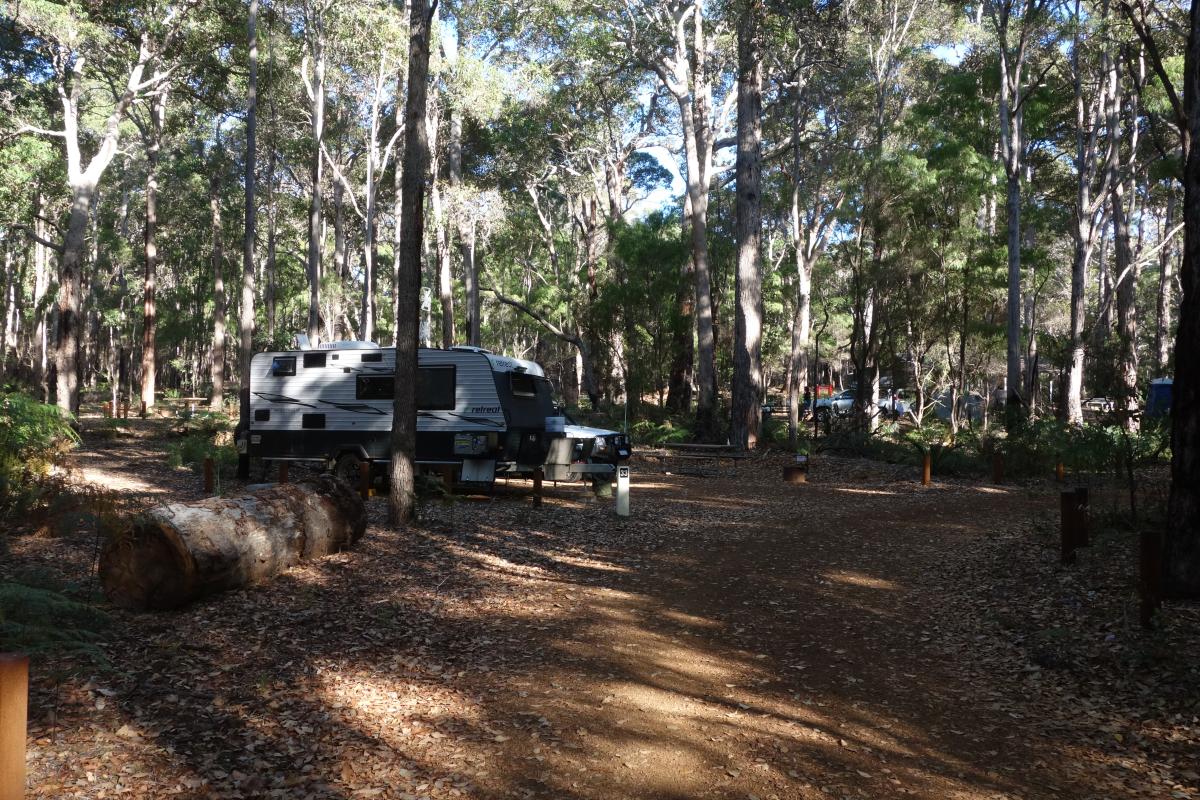 campground in a forest of tall trees with a caravan parked at one of the camp sites