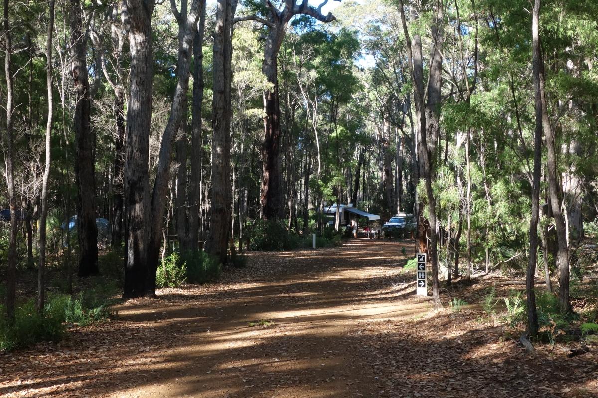 Jarrahdene Campground Leeuwin Naturaliste National Park dirt tracks in a forest leading to campground sites with campers in the distance