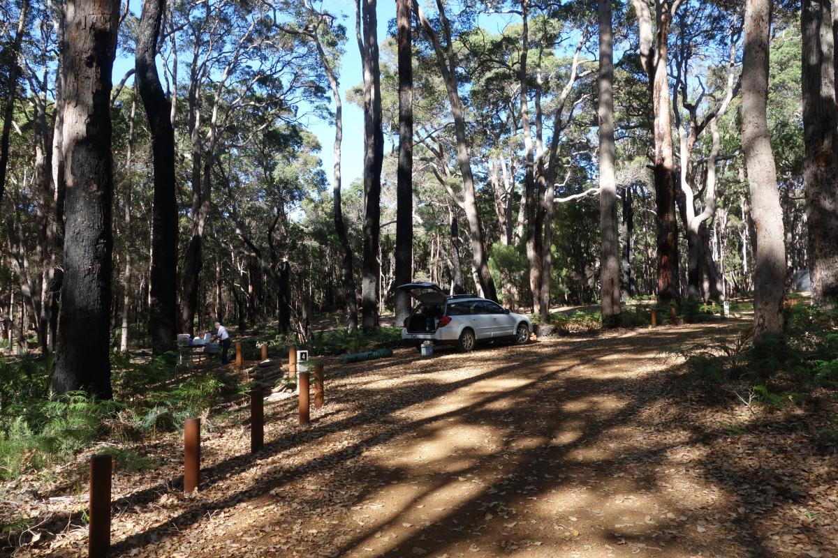 man setting up camp in a forest campground camp site 