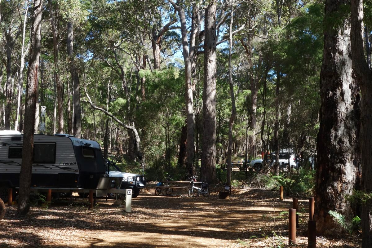  caravan parked at a campground camping site beneath tall native trees