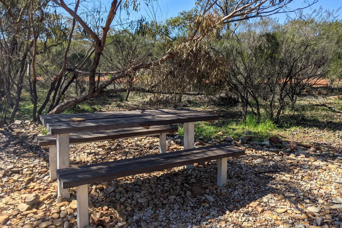 Picnic bench on a walk trail