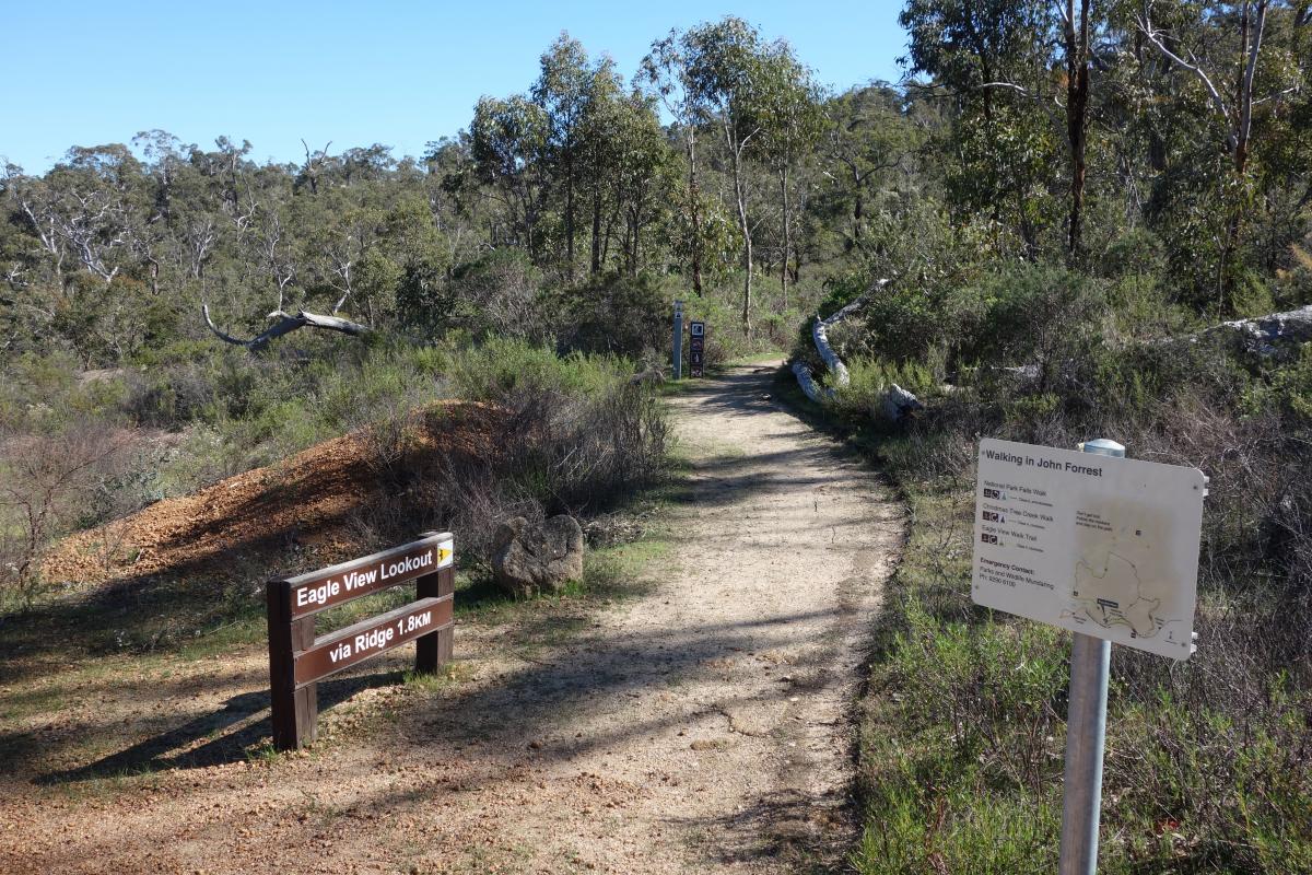 trail head sign and walking trail leading into a forest of native vegetation