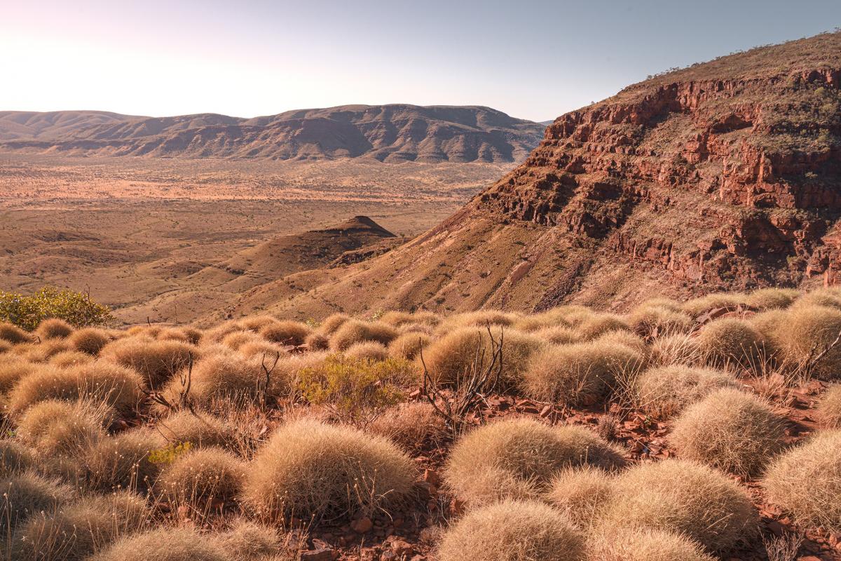Karijini National Park A high point overlooking ranges with mounds of spinifex in the foreground