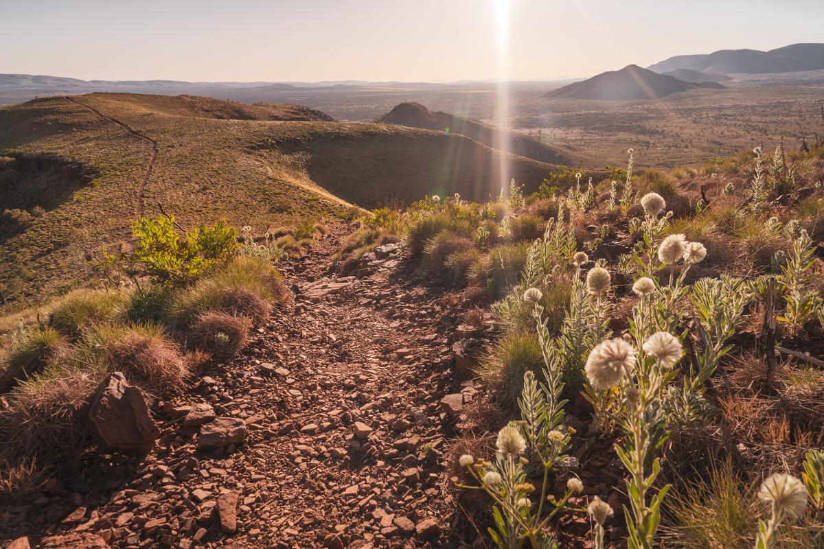 A trail with wildflowers overlooking Karijini National Park