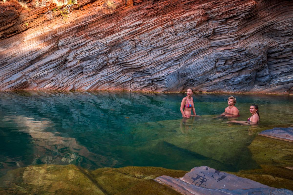 are dogs allowed in national parks in western australia