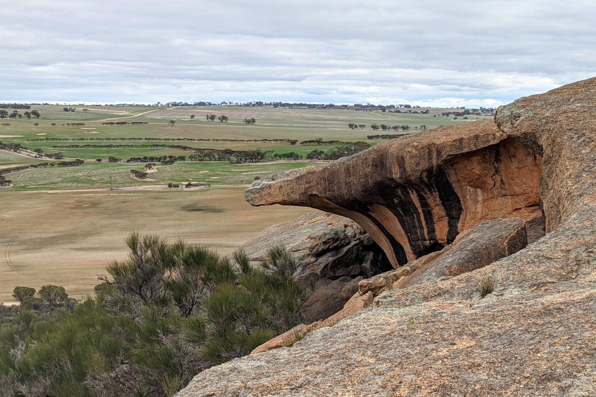 Views of the farmland surrounding Kokerbin Rock Nature Reserve from the top of Kokerbin Rock