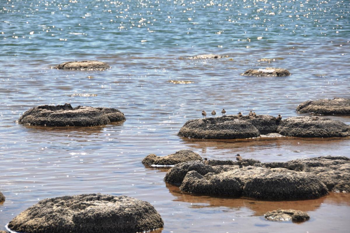 Lake Thetis