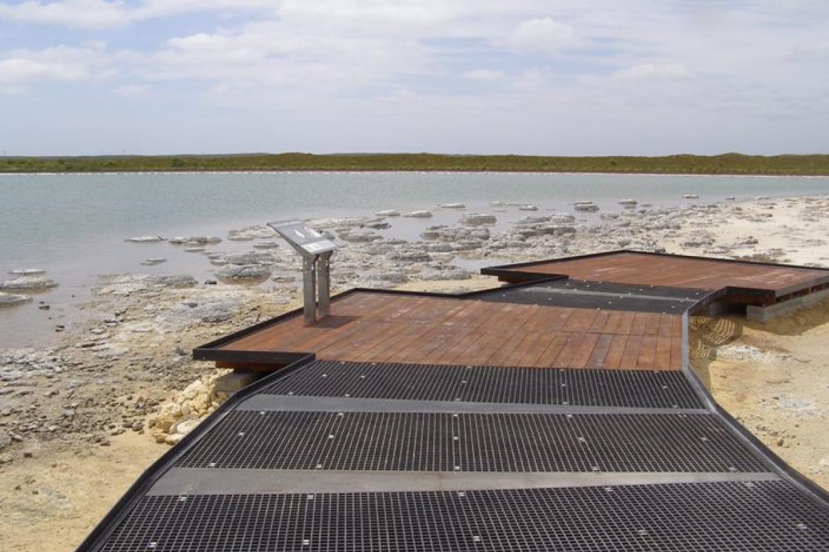 raised walking platform for viewing ancient stromatolites on a lake
