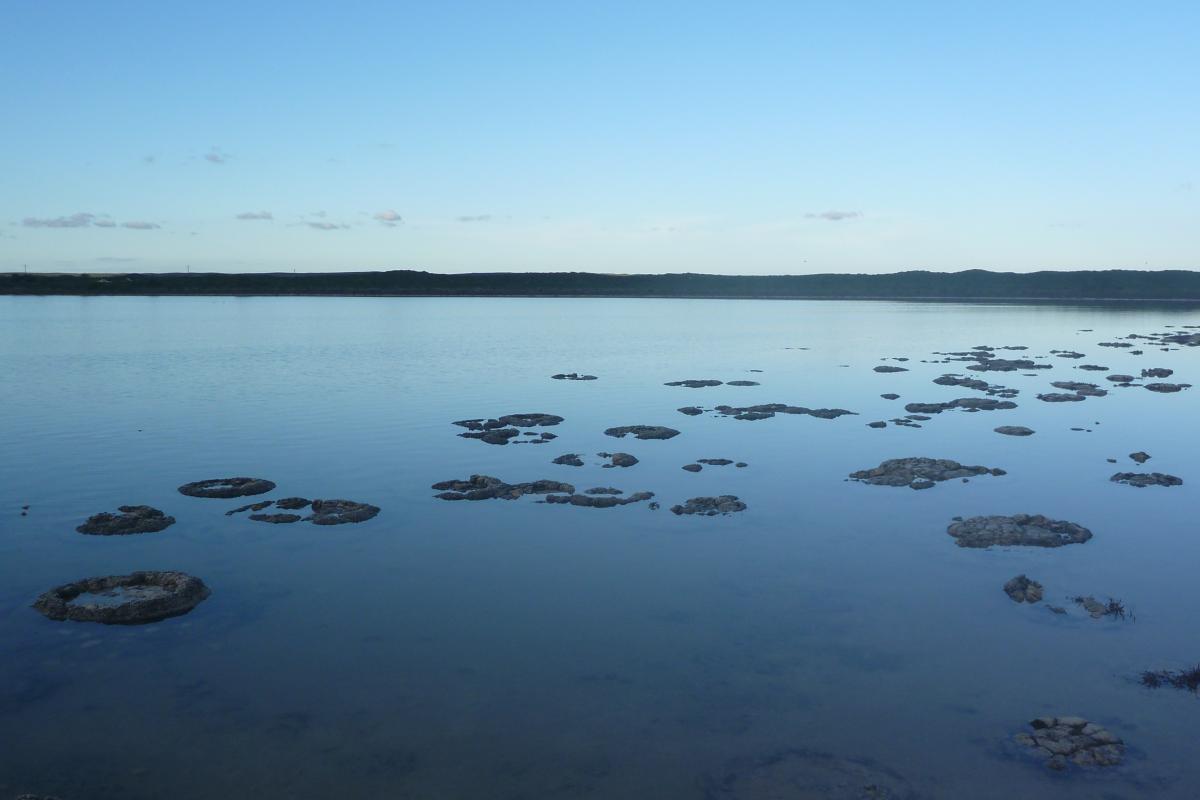 elevated view looking out over a large lake with exposed rock like formations