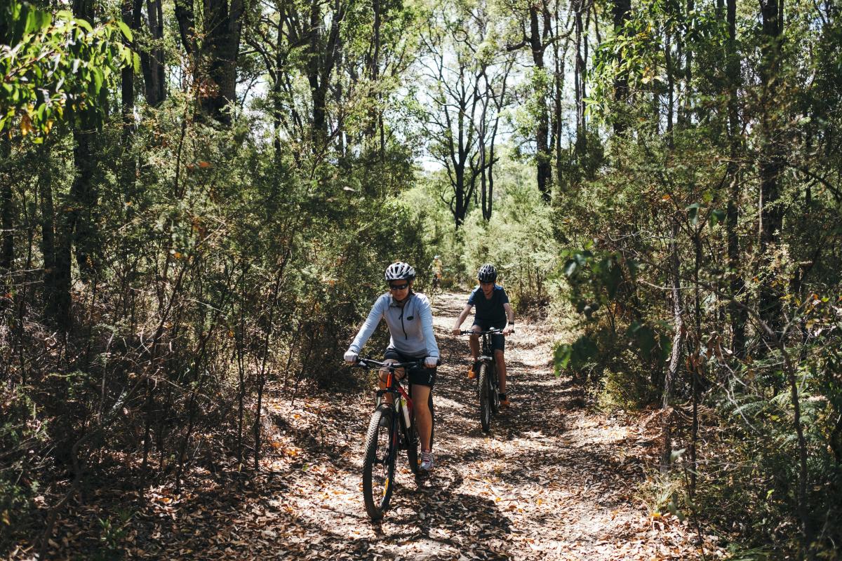 Couple on mountain bikes on dirt trail surrounded by green shrub and tall trees
