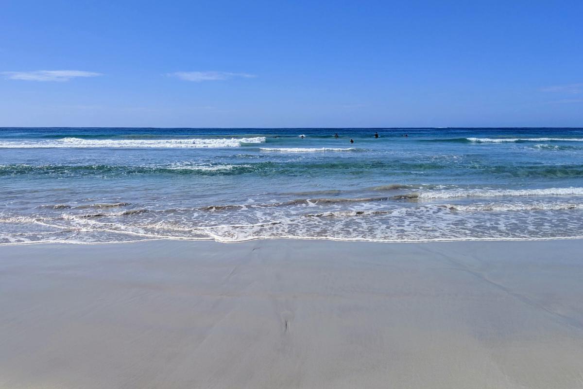 People surfing small waves People surfing small waves
