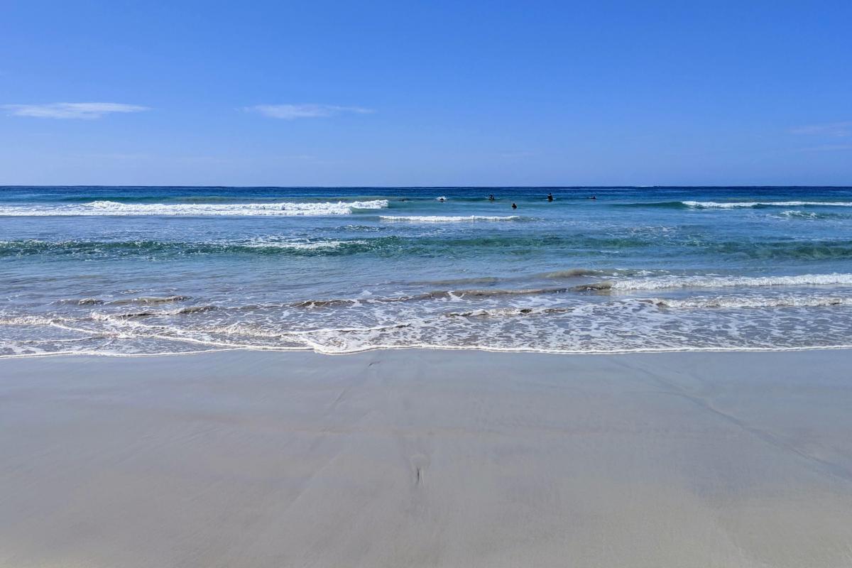 People surfing small waves