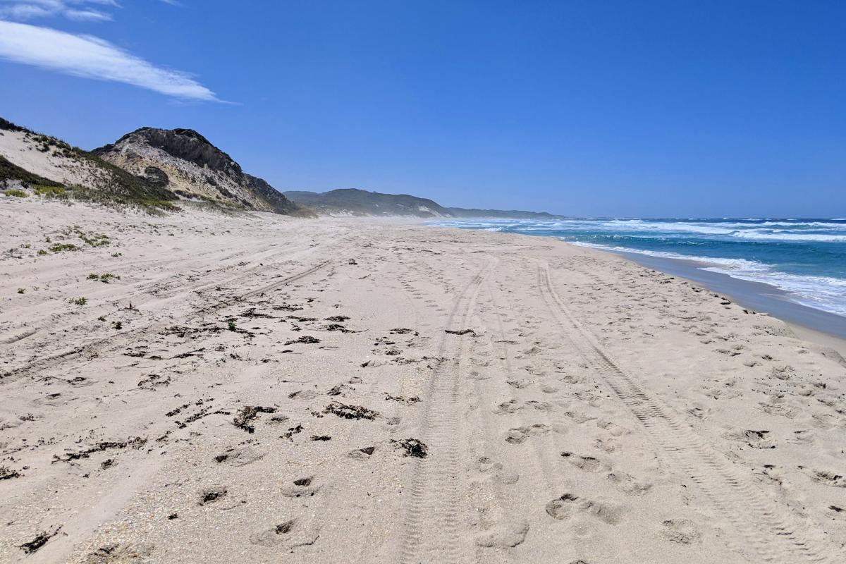 Looking eastwards towards Greens Pool on a long walk along Mazzoletti Beach Long empty beach with footprints, looking eastwards towards Greens Pool