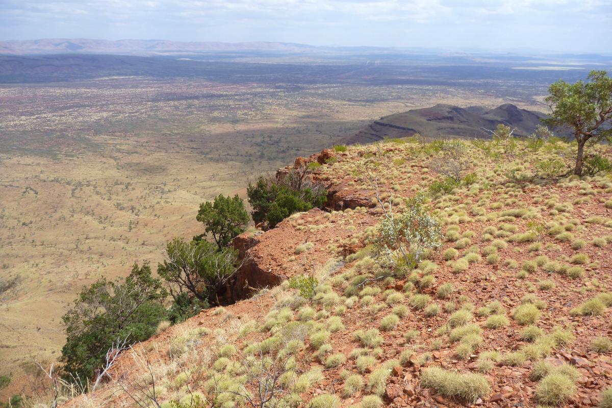 View of ranges in the distance from the top of Mount Bruce Karijini National Park