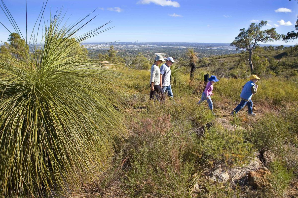 two adults and two children walking though green low scrub with a view of the city skyline in the background
