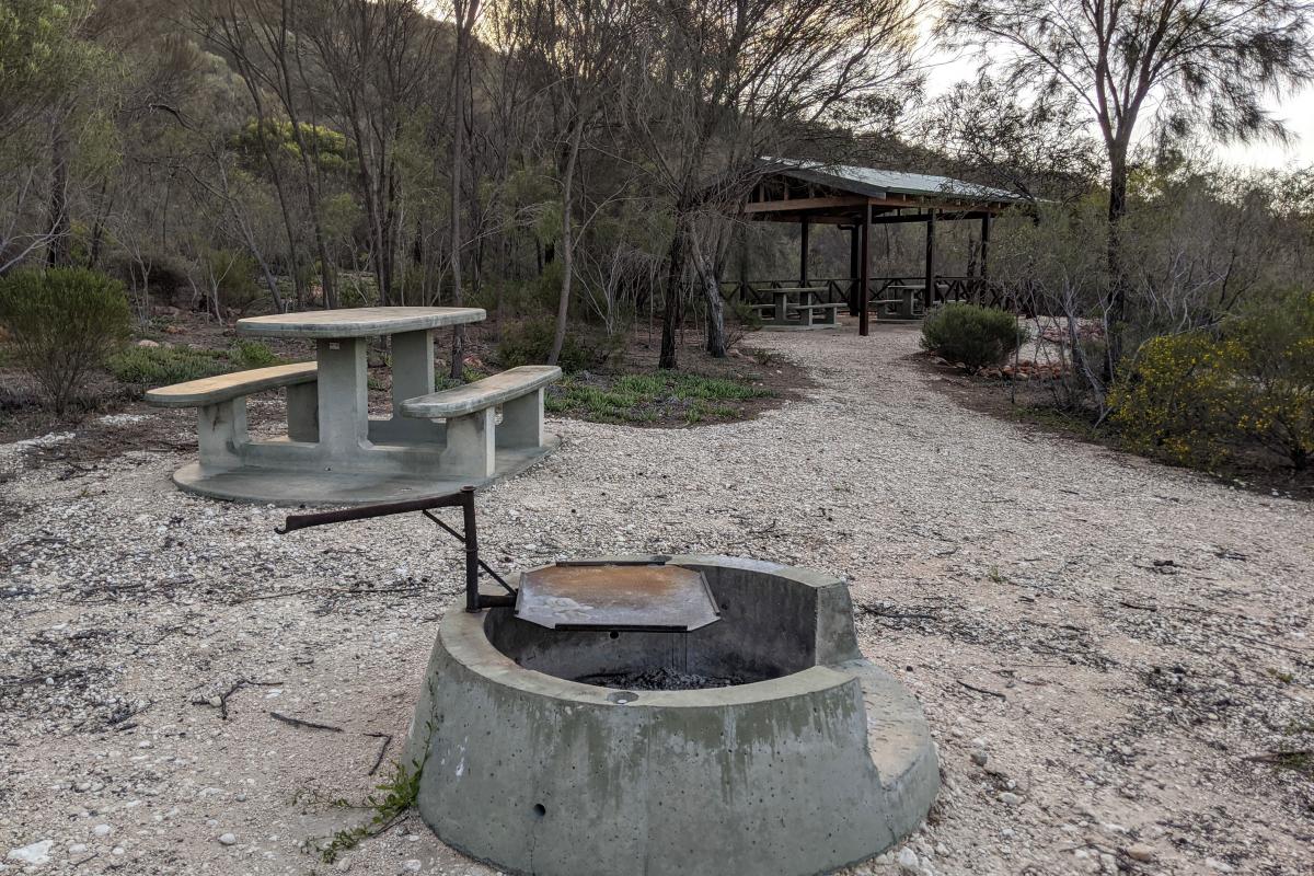 Fire ring, picnic bench, and undercover shelter at Peak Charles Campground