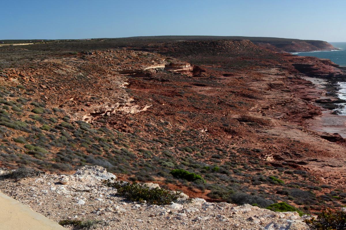 Red Bluff Kalbarri National Park View of Red Bluff beach and coastline from lookout