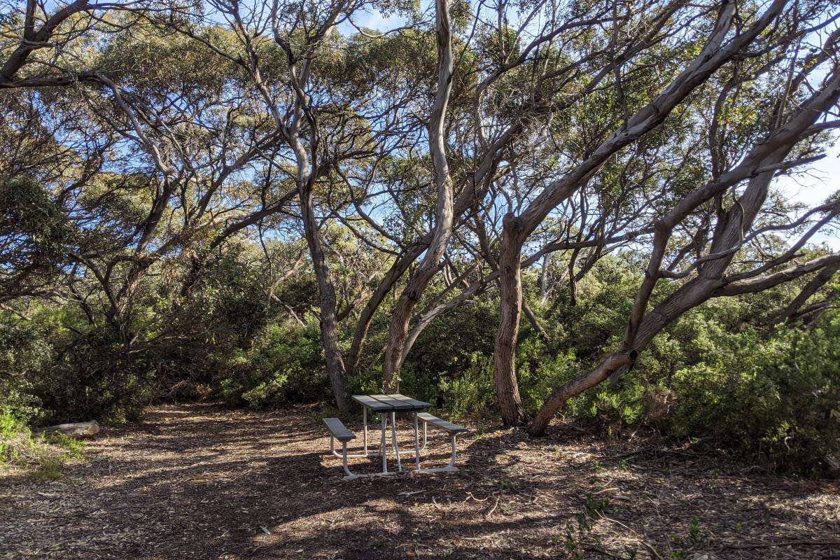 Picnic table under shady trees at Rossiter Bay