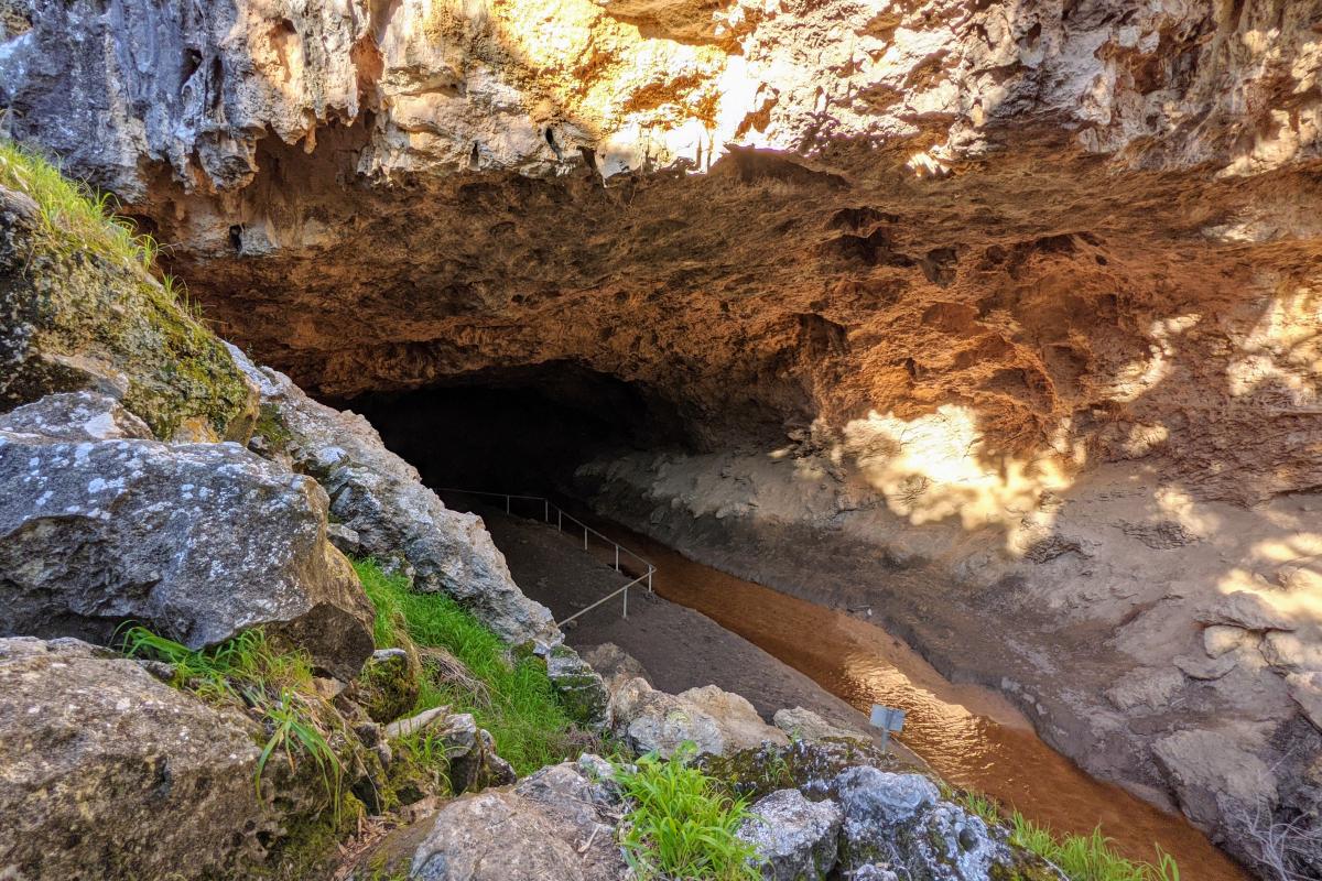 Entrance to limestone cave with a creek flowing through it
