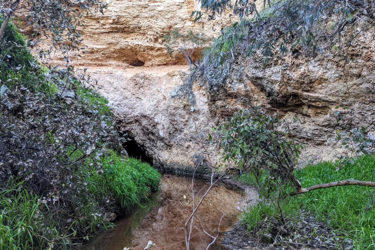 Stream of water flowing into a limestone cliff cave and another small cave