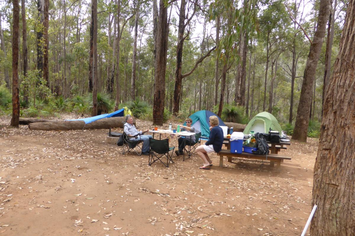 group of campers relaxing in their forest camping site with their tents in the background