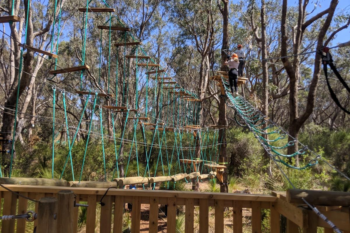 ropes and wooden platforms between trees with people walking on them 